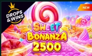 Zastosowanie SpinBetter w codziennym treningu